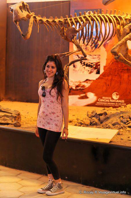 Sorriso argentino, Ischigualasto, Museo di Scienze Naturali - Argentina
