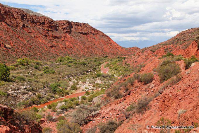 Valle profonda, Ruta 40 tra Villa Unione e Chilecito - Argentina