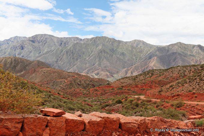 Ruta 40 tra Villa Unione e Chilecito, per la Cuesta Miranda - Argentina