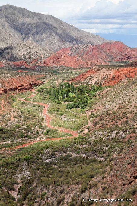 Oasi verde, Cuesta Miranda, Ruta 40 tra Villa Unione e Chilecito - Argentina
