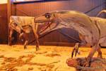 Dinosauri Lotta, museo della scienza, Ischigualasto, Argentina.