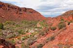 Valle profonda, Ruta 40 tra Villa Unione e Chilecito, Argentina.