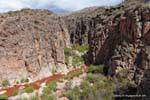 Gole, Cuesta Miranda, Ruta 40 tra Villa Unione e Chilecito, Argentina.