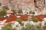 Torrent di sangue, Ruta 40 tra Villa Unione e Chilecito, Cuesta Miranda, Argentina.