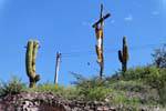 Crocifisso tra il cactus, San Agustin de Valle Fertile, Argentina.