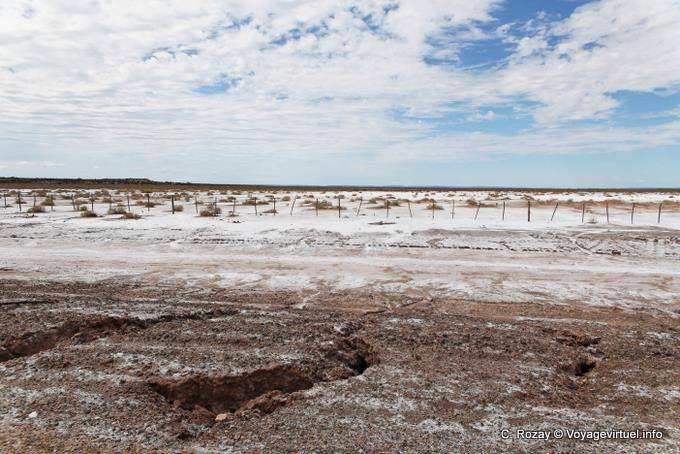 Deserto di sale, Mascasin tra Chepes e San Juan - Argentina
