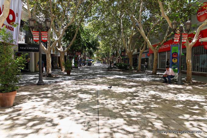 Via pedonale alberato, San Juan - Argentina