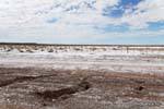 Deserto di sale, Mascasin tra Chepes e San Juan, Argentina.