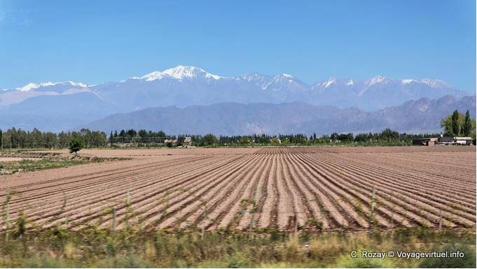 Campo coltivato Ande Ruta 7 Mendoza - Argentina
