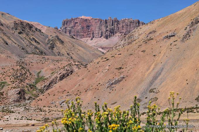 Fiori rossi e gialli Cliffs, Ruta 7 di Mendoza in Cile - Argentina
