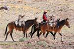Cavalier con i suoi cavalli, Ruta 7 Los Penitentes, Argentina.