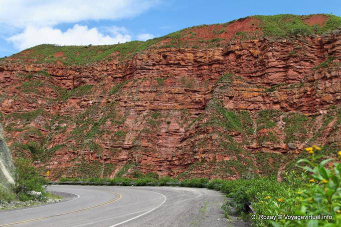 Tonica tra le rocce rosse Quebrada El Carril prima Escoipe - Argentina