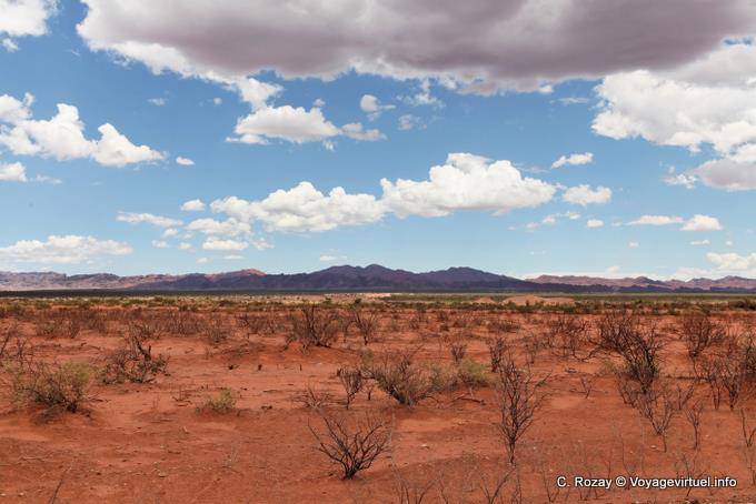 Argentine infinita Talampaya - Argentina