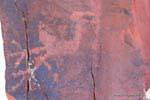 Petroglyph uccello, Talampaya, Argentina.