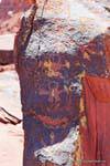 Uomini, disegni petroglyph, Talampaya, Argentina.