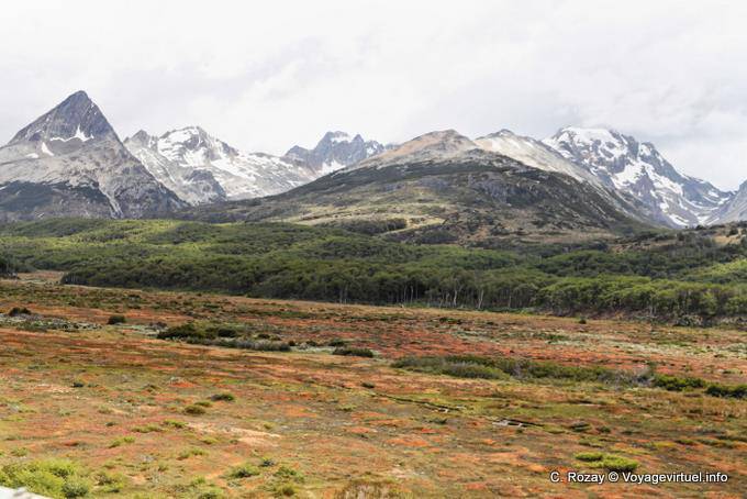 Heath, foreste e montagne, Ushuaia - Argentina