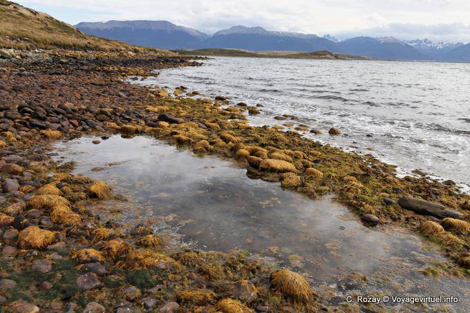 Un'altra vista di Bahia Brown, Ushuaia - Argentina