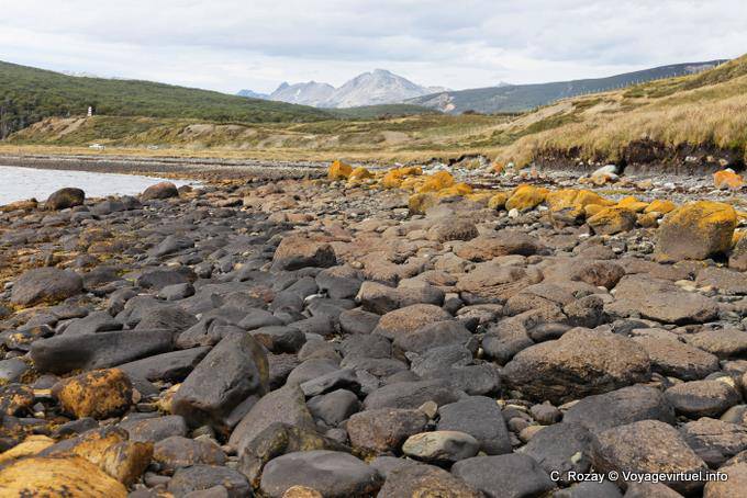 Spiaggia rocciosa a Bahia Brown, Ushuaia - Argentina