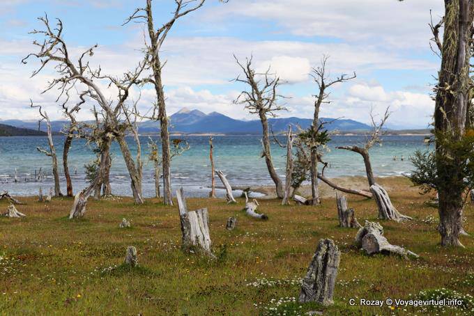 Visualizza il Cerro Alvear, Ushuaia Lago Yehuin - Argentina