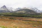 Heath, foreste e montagne, Ushuaia, Argentina.