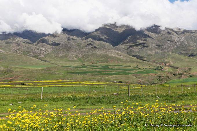 Dal ruta 307 panorama di Pinar de los Cervios, Tafi del Valle, Ruta 307 - Argentina