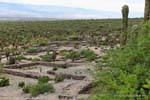 Panorama della valle Yokavil, Quilmes Ruinas, Argentina.