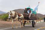 Due ruote cart, Ruta 40 dopo Chilecito, Argentina.