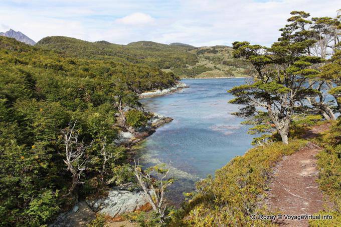 sul percorso tra Bahia Ensenada e Lapataia, Parque Nacional Tierra del Fuego, Ushuaia - Argentina