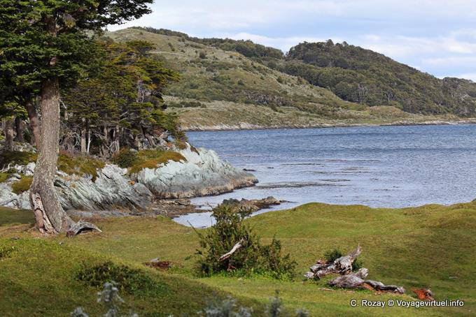 Paesaggio della Patagonia dalla costa di Bahia Ensenada, Parque Nacional Tierra del Fuego, Ushuaia - Argentina