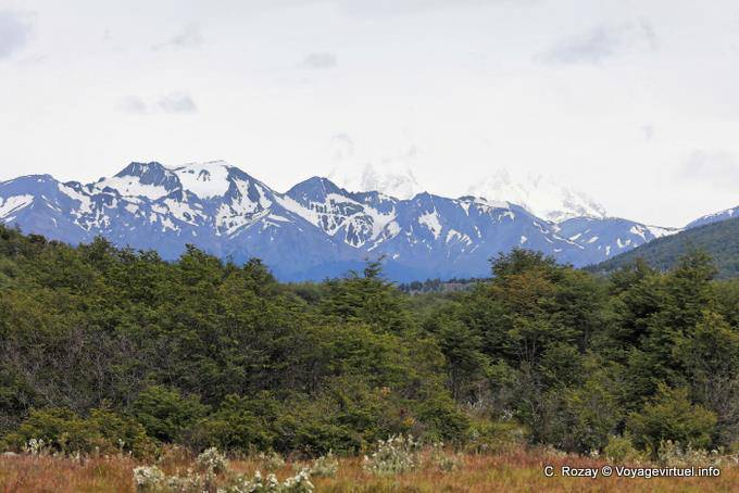 Paesaggio Fuegian, Bahia Lapataia, Parque Nacional Tierra del Fuego, Ushuaia - Argentina