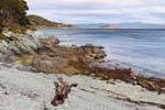 Driftwood sulla spiaggia, Parque Nacional Tierra del Fuego, Ushuaia, Argentina.
