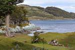 Paesaggio della Patagonia dalla costa di Bahia Ensenada, Parque Nacional Tierra del Fuego, Ushuaia, Argentina.