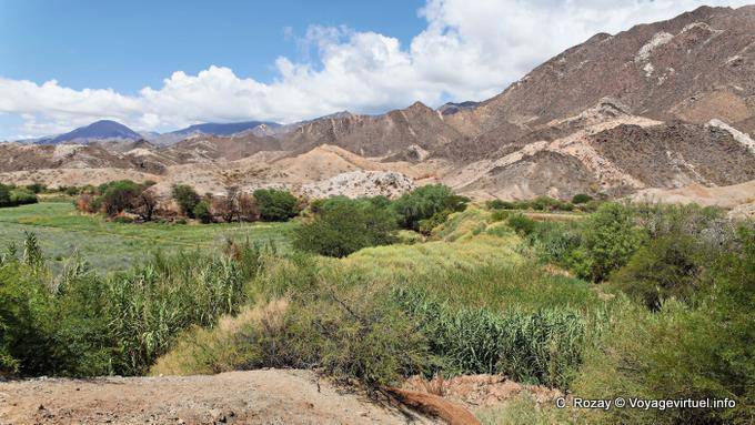Selvatica e coltivata a Angostura Valley Calchaquies, Ruta 40 - Argentina