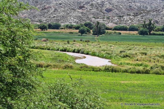 Fertile valle del Rio Calchaqui, La Angostura Valley Calchaquies, Ruta 40 - Argentina