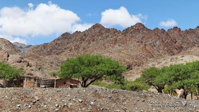 Casa e gli alberi nella valle arida Calchaquies, Ruta 40 - Argentina