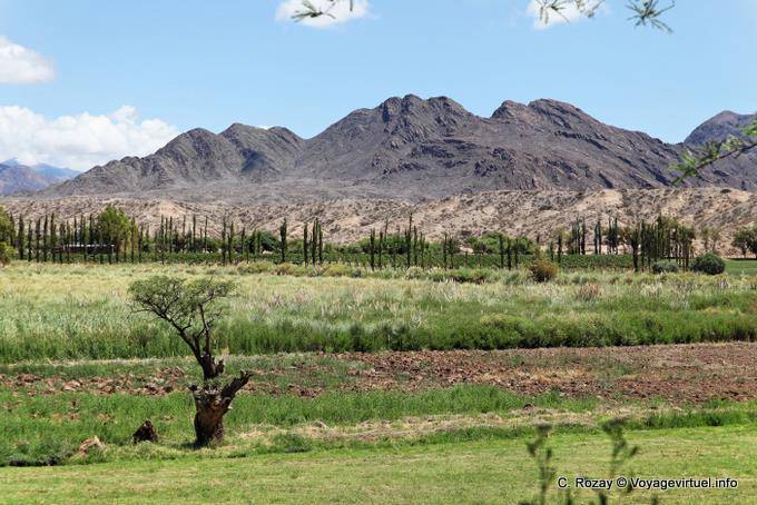 Bello paesaggio di Payogastilla Valley Calchaquies, Ruta 40 - Argentina