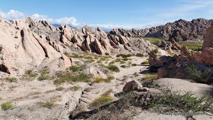 Rocce esaminato la Quebrada de las Flechas Valley Calchaquies, Ruta 40 - Argentina