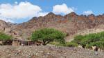 Casa e gli alberi nella valle arida Calchaquies, Ruta 40, Argentina.