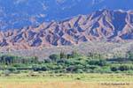 Le prime impressioni da San Carlos Valley Calchaquies, Ruta 40, Argentina.