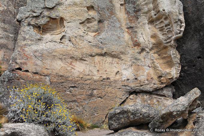 Malformazione Rocky, Walichu - Argentina