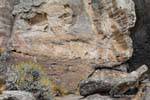 Malformazione Rocky, Walichu, Argentina.