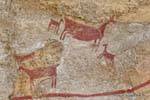 Madre e piccola guanachi fatto dipinto, rock painting Tehuelche, Walichu, Argentina.