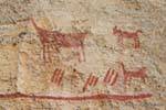 Guanaco in arte rupestre, pittura rupestre di Tehuelche indiani Walichu, Argentina.