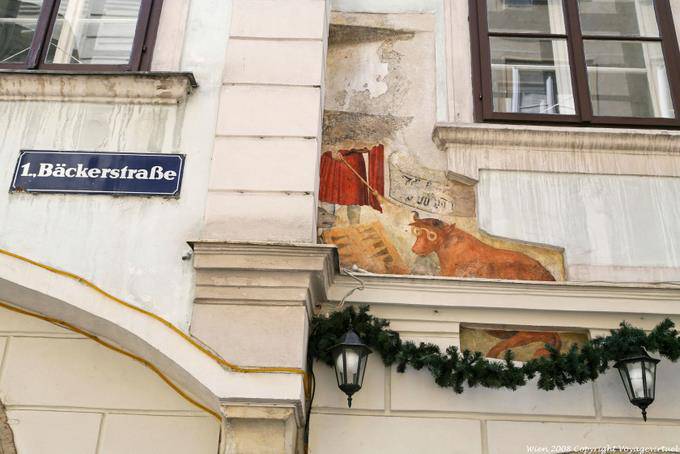 Backerstrasse, occhiali Toro - Vienna - Austria