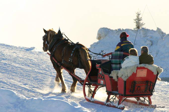 Corsa in slitta rosso, Avoriaz - Alpi, Francia