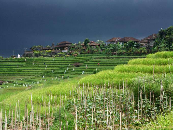 Cultura e villaggio Gunungsari - Bali