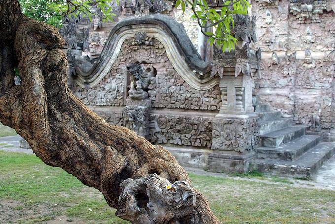 Arbre noueux devant escaliers du sanctuaire, Bali Pura Beji 