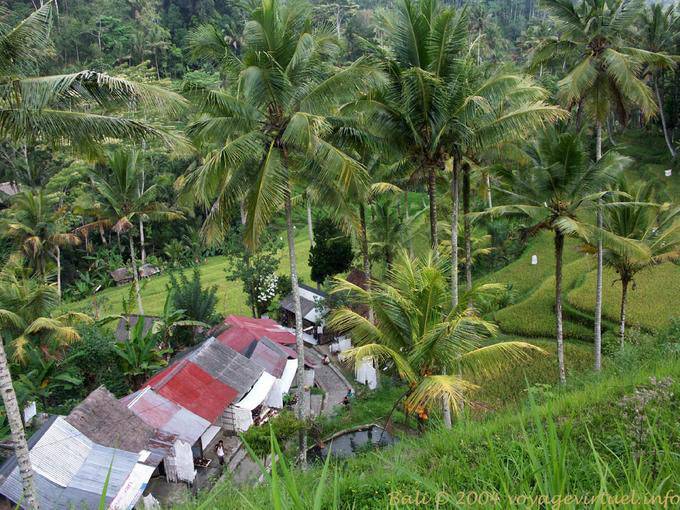 Vista dall'alto di Gunung Kawi - Bali