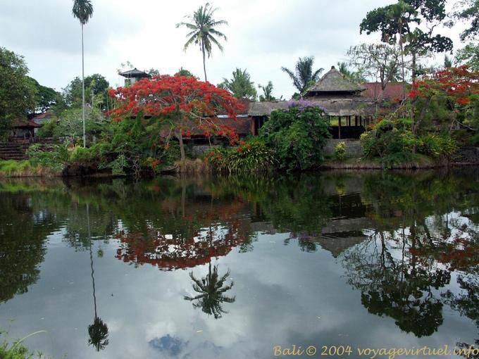 Riflessione nel lago, Mengwi Taman Ayun - Bali