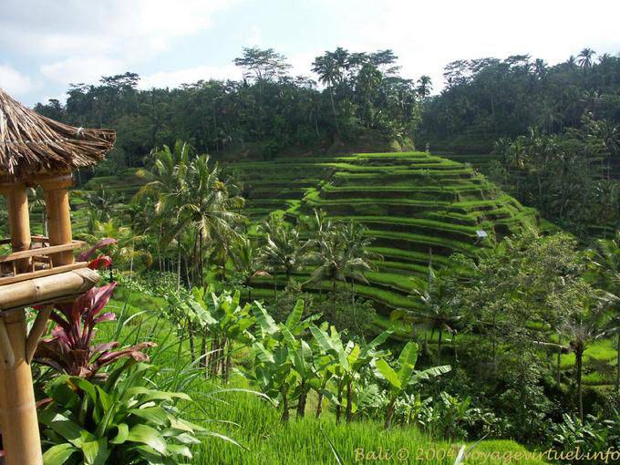 Paesaggio Gunung Kawi - Bali